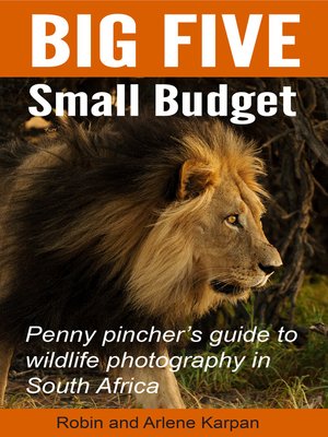 cover image of Big Five Small Budget